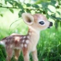 ryan (@picklegirl33) 's Twitter Profile Photo