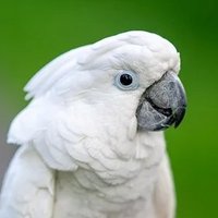 Animals (@animals3601) 's Twitter Profile Photo