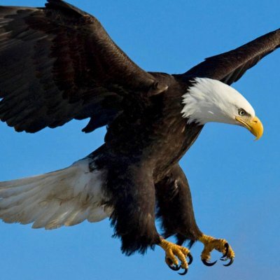 benarmasi's profile picture. 