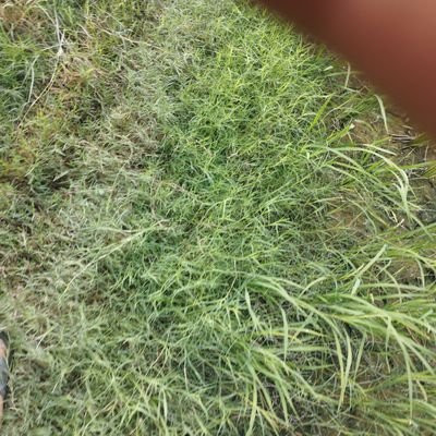 gaurav207060's profile picture. 