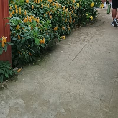 OOlazund's profile picture. 