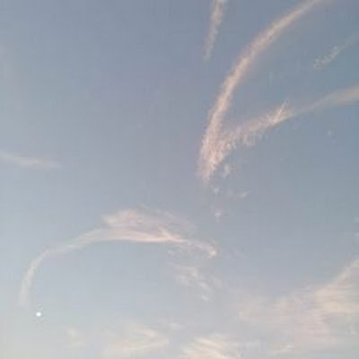 hafz_mhnd26932's profile picture. 