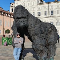 Halber A. (@halbersc) 's Twitter Profile