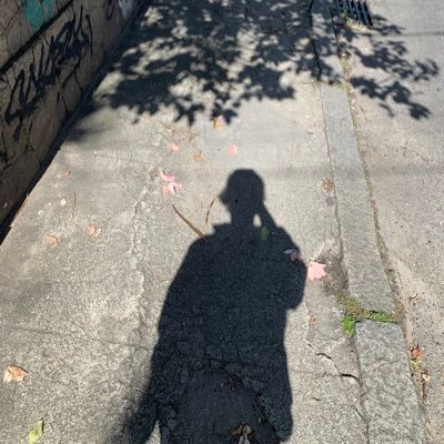 goncalvezbrunaa's profile picture. Acordei bem mas o país não colabora