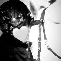 ليل (@1litvq) 's Twitter Profile