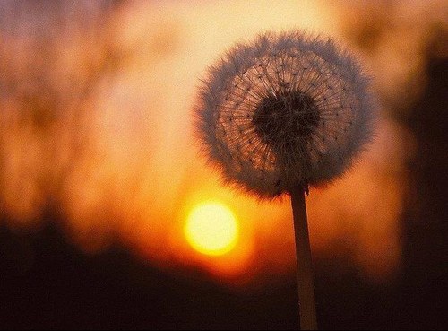 jujububi's profile picture. 