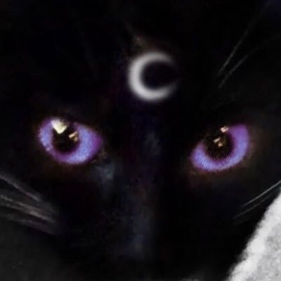 ๋࣭ .𖥔 ݁ ˖🐈⬛✧˖° intuitive tarot reader, subliminal maker, witchcraft 🪽 OPEN for bookings, sign the form on the link
