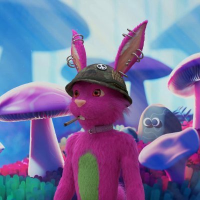 captain.root Profile