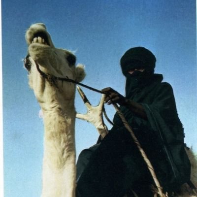 من در شمار کسانی خواهم بود که زیبا زندگی میکنند و میمیرند