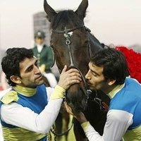 nerede o eski atlar (@o_atlar) 's Twitter Profile Photo nerede o eski atlar (@o_atlar) 's Twitter Profile Photo