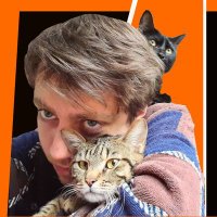 Nikita Zharyi 🇺🇦 (@itessence_net) 's Twitter Profile