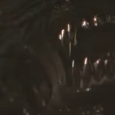 cajickovej's profile picture. In space no one can hear you scream.