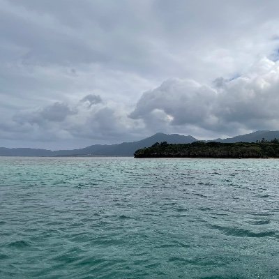 W3JIt9DoBCHLpX9's profile picture. o阪市内住み、30代
清潔感はありあり、177のスリム体型。
性格は優しい。
経験人数は100超え。最強の92試してみる？
平日昼間が活動時間なので、興味あればDMしてね。
秘密厳守です！！！
Xはお誘い用で投稿は皆無笑