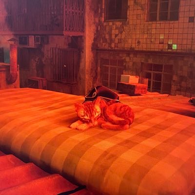 ruffruffrussell's profile picture. 