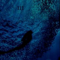 Sasha (@sashaoyunda) Twitter profile photo