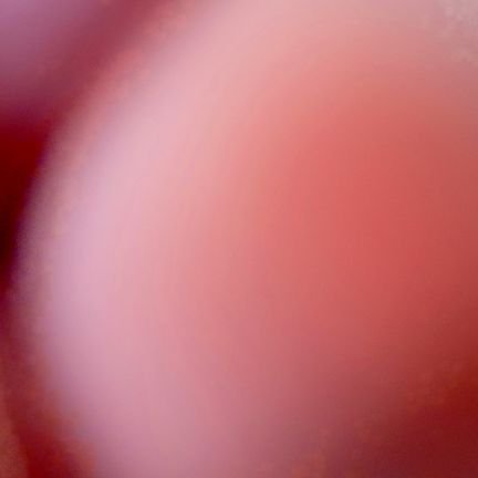 allakey29's profile picture. Ukraine