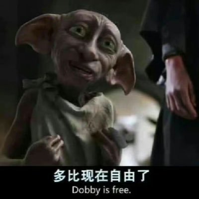 DobbyFreeGoblin's profile picture. Pretty much retired fr