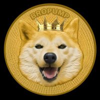 Sol search Bropump 👊⛽️ (@solsearch123) 's Twitter Profile Photo Sol search Bropump 👊⛽️ (@solsearch123) 's Twitter Profile Photo