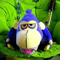 Fox4cid (@fox4cid) 's Twitter Profile