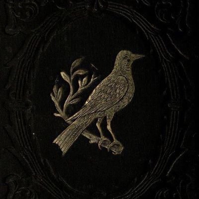 sengulnalin2's profile picture. Öğretmen..