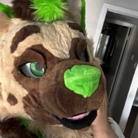 Rex (@rexdafurry) 's Twitter Profile