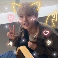 sn (@1n0shi3) 's Twitter Profile