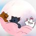 ซากิ 🐈⬛🐾໊ (@99abzn) Twitter profile photo ซากิ 🐈⬛🐾໊ (@99abzn) Twitter profile photo