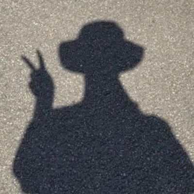 areal NE Profile
