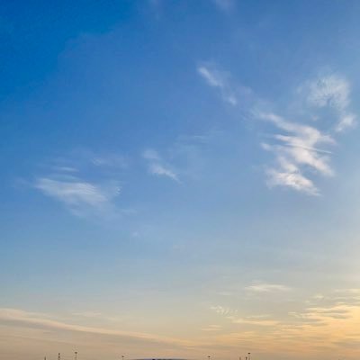 yonsh4x's profile picture. 