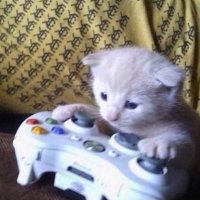 little (@littleecackiee) 's Twitter Profile