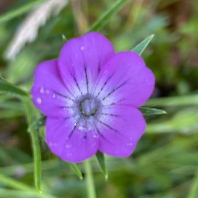 robjglover's profile picture. 