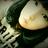 songsong0423's profile image