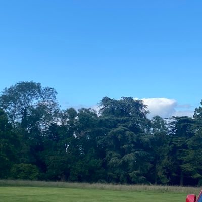 ahwhoknew2's profile picture. 