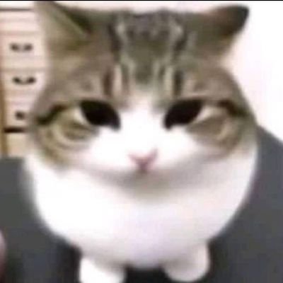 cvpc4keuy's profile picture. 