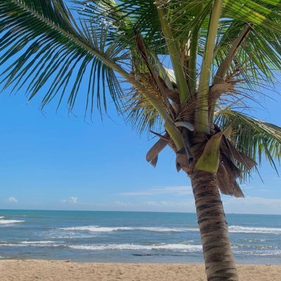 matadecoco33_78's profile picture. Un usuario más