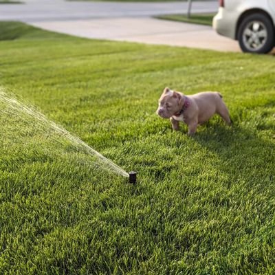 MikeNoname58536's profile picture. 