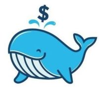 Mr.Crypto Whale 🐋💰 (@mrcryptowhale15) 's Twitter Profile