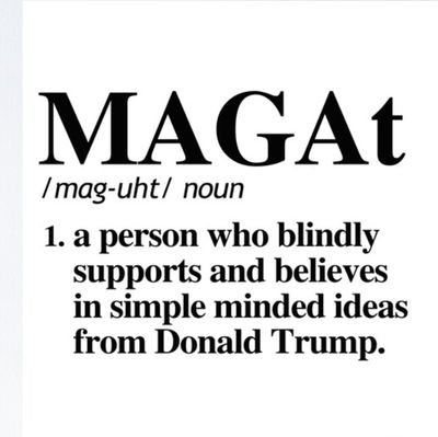 realgame4life's profile picture. Proud Democrat trapped in Texas