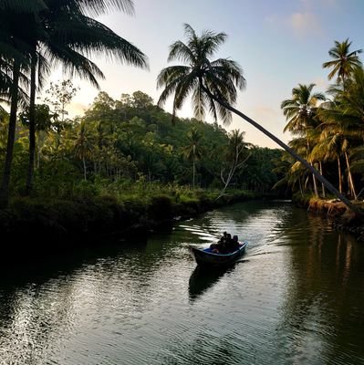 act_luffy's profile picture. 