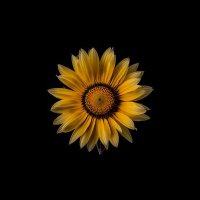 Afha (@afhalbs) 's Twitter Profile Photo Afha (@afhalbs) 's Twitter Profile Photo