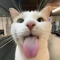 EdwardUKraine (@edwardukrainegd) 's Twitter Profile