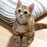 sei_ZERO_kara's profile picture. 楽しく遊びましょう
希望を教えてください。叶えますよ
ドンドンDM,リプください

（毎日パチンコ生活）

@SXiakumi51281