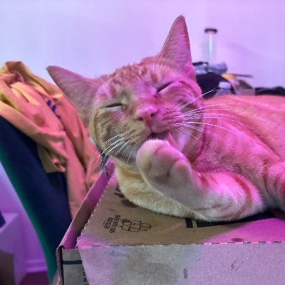 a tad bit impulsive. unemployed by day, shitposter by night. not my cat. she/her/any