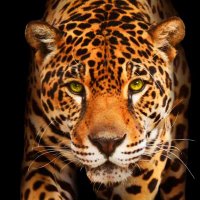 RomanTikSerSeri (@mertcan7o) Twitter profile photo