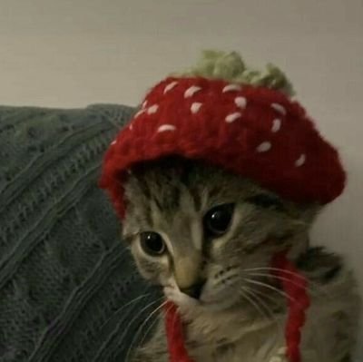 keiw_wkei's profile picture. ᯒᯎ″