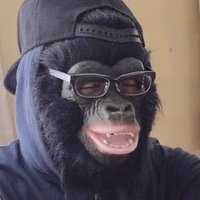 Yossy Jr.☺︎Hime Gorilla (@himegorilla1582) 's Twitter Profile