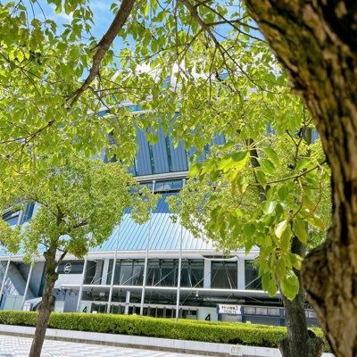 aBDuF0OfWAFRkxQ's profile picture. ORIX Buffaloes /緑黄色社会/Novelbright/かわにしなつき/Re:name/Kage.Jp/浜野はるき/茉ひる/YRD Leo/SHO-SENSEI!!/ONE OK ROCK/赤西仁/マルシィ