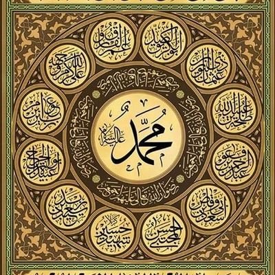 MisbahAlam32887's profile picture. 