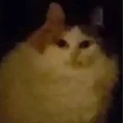 :3