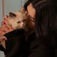 Hn (@hn_on) 's Twitter Profile